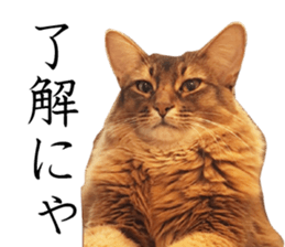 -Live action version-Somari no Gachan sticker #15604720