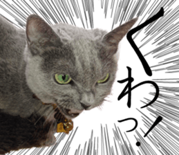 -Live action version-Somari no Gachan sticker #15604721