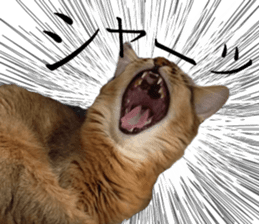 -Live action version-Somari no Gachan sticker #15604724