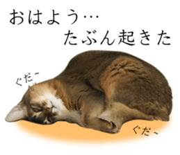 -Live action version-Somari no Gachan sticker #15604728