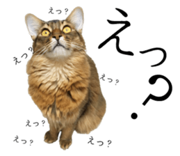 -Live action version-Somari no Gachan sticker #15604729