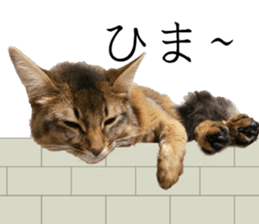 -Live action version-Somari no Gachan sticker #15604730