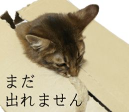 -Live action version-Somari no Gachan sticker #15604731