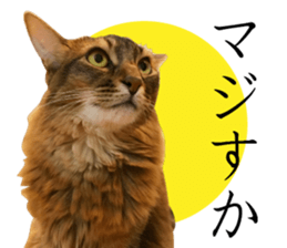 -Live action version-Somari no Gachan sticker #15604735