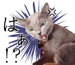 -Live action version-Somari no Gachan sticker #15604737