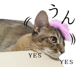 -Live action version-Somari no Gachan sticker #15604739