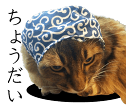 -Live action version-Somari no Gachan sticker #15604741