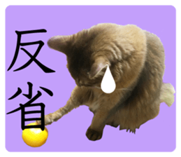 -Live action version-Somari no Gachan sticker #15604742