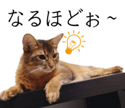 -Live action version-Somari no Gachan sticker #15604743