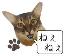 -Live action version-Somari no Gachan sticker #15604744