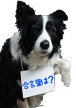 The Border Collie Hitomi's feeling. sticker #15605049
