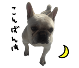 stamp's Sticker sticker #15605052