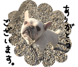 stamp's Sticker sticker #15605058