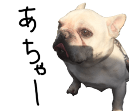 stamp's Sticker sticker #15605063