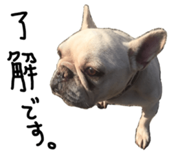 stamp's Sticker sticker #15605066