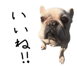 stamp's Sticker sticker #15605068