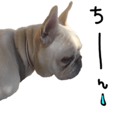 stamp's Sticker sticker #15605071