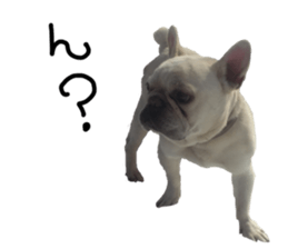 stamp's Sticker sticker #15605075