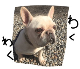 stamp's Sticker sticker #15605081