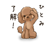 NAME STICKER FOR HITOMI sticker #15605084