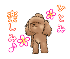 NAME STICKER FOR HITOMI sticker #15605085