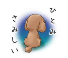 NAME STICKER FOR HITOMI sticker #15605086