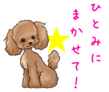NAME STICKER FOR HITOMI sticker #15605090