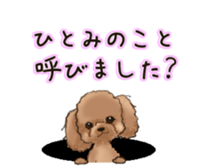 NAME STICKER FOR HITOMI sticker #15605091