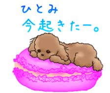 NAME STICKER FOR HITOMI sticker #15605093