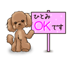 NAME STICKER FOR HITOMI sticker #15605095