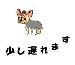 Pretty Yorkies sticker #15605414