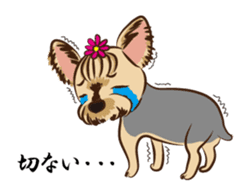 Pretty Yorkies sticker #15605420