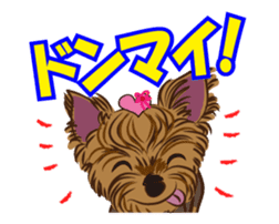 Pretty Yorkies sticker #15605422