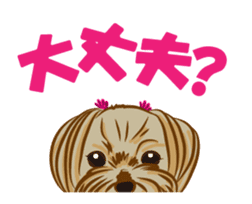 Pretty Yorkies sticker #15605424