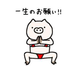 The pig wearing bikini sticker #15607032