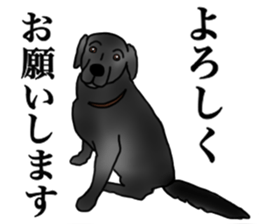 SORA FAMILY : PART 2 sticker #15607458