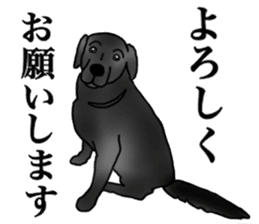 SORA FAMILY : PART 2 sticker #15607458