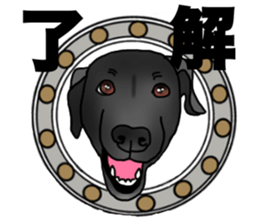 SORA FAMILY : PART 2 sticker #15607459