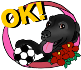 SORA FAMILY : PART 2 sticker #15607460