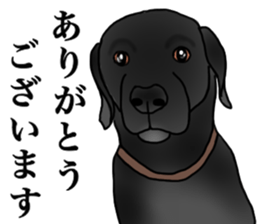 SORA FAMILY : PART 2 sticker #15607461