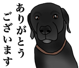 SORA FAMILY : PART 2 sticker #15607461