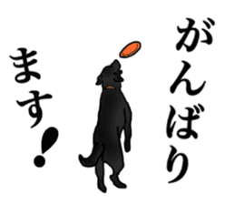 SORA FAMILY : PART 2 sticker #15607462