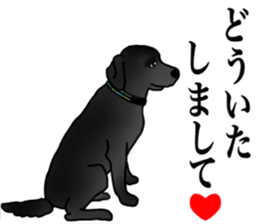 SORA FAMILY : PART 2 sticker #15607463