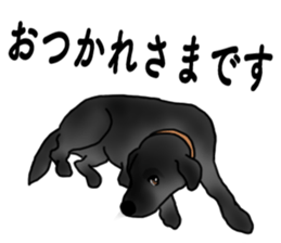 SORA FAMILY : PART 2 sticker #15607464