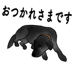 SORA FAMILY : PART 2 sticker #15607464