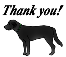 SORA FAMILY : PART 2 sticker #15607465