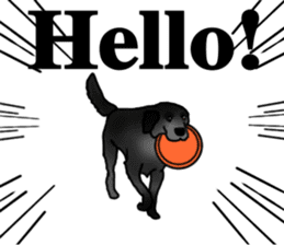 SORA FAMILY : PART 2 sticker #15607469