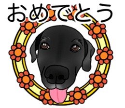 SORA FAMILY : PART 2 sticker #15607472