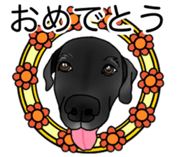 SORA FAMILY : PART 2 sticker #15607472