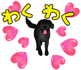 SORA FAMILY : PART 2 sticker #15607474